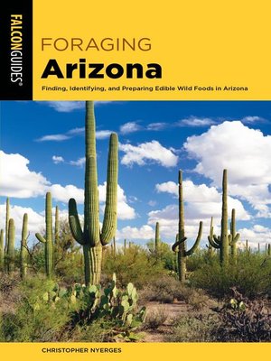 Foraging Arizona - ebook